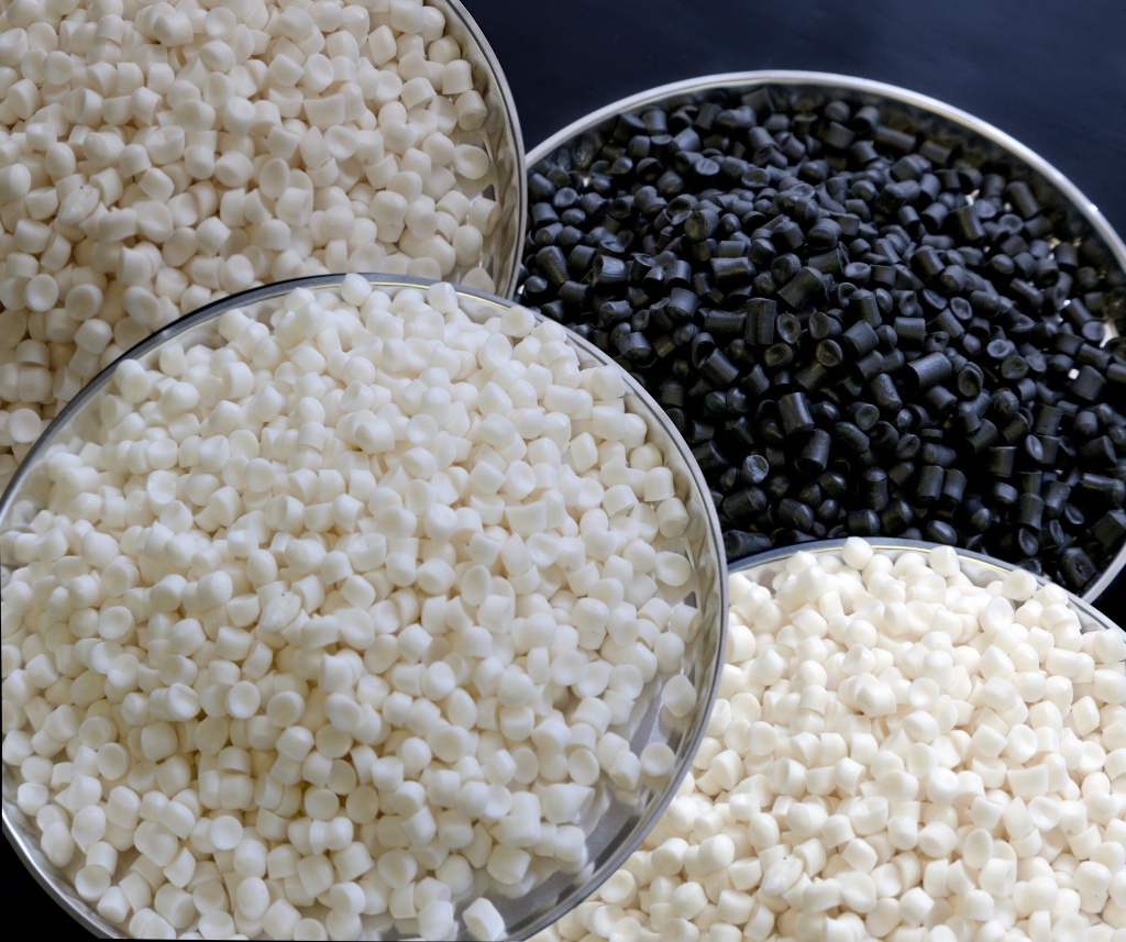 ZO2L65329.jpg ZO2L65329.jpg